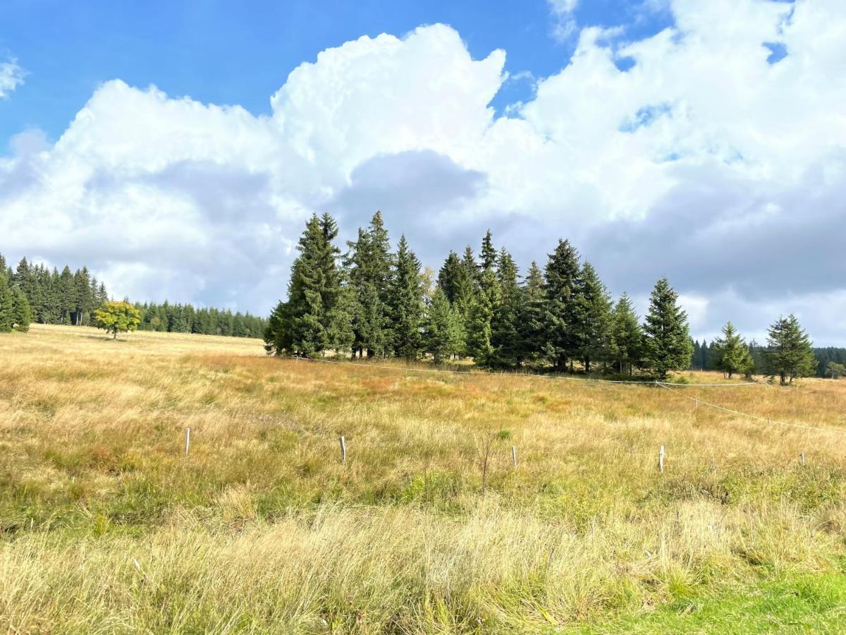 Apartments Stein Boží Dar Εξωτερικό φωτογραφία