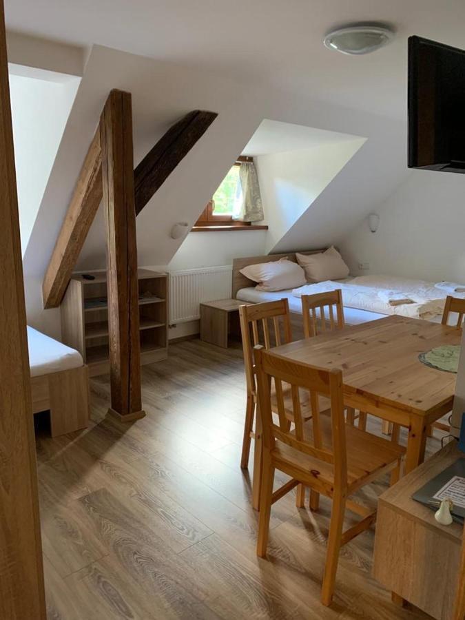 Apartments Stein Boží Dar Εξωτερικό φωτογραφία